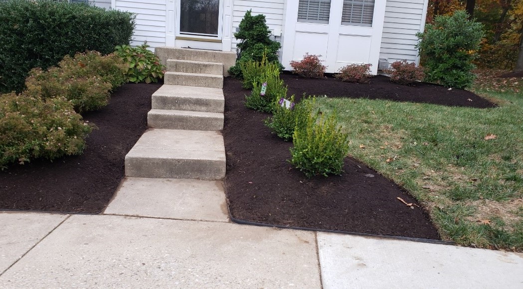Marveloous walkway garden going into a home