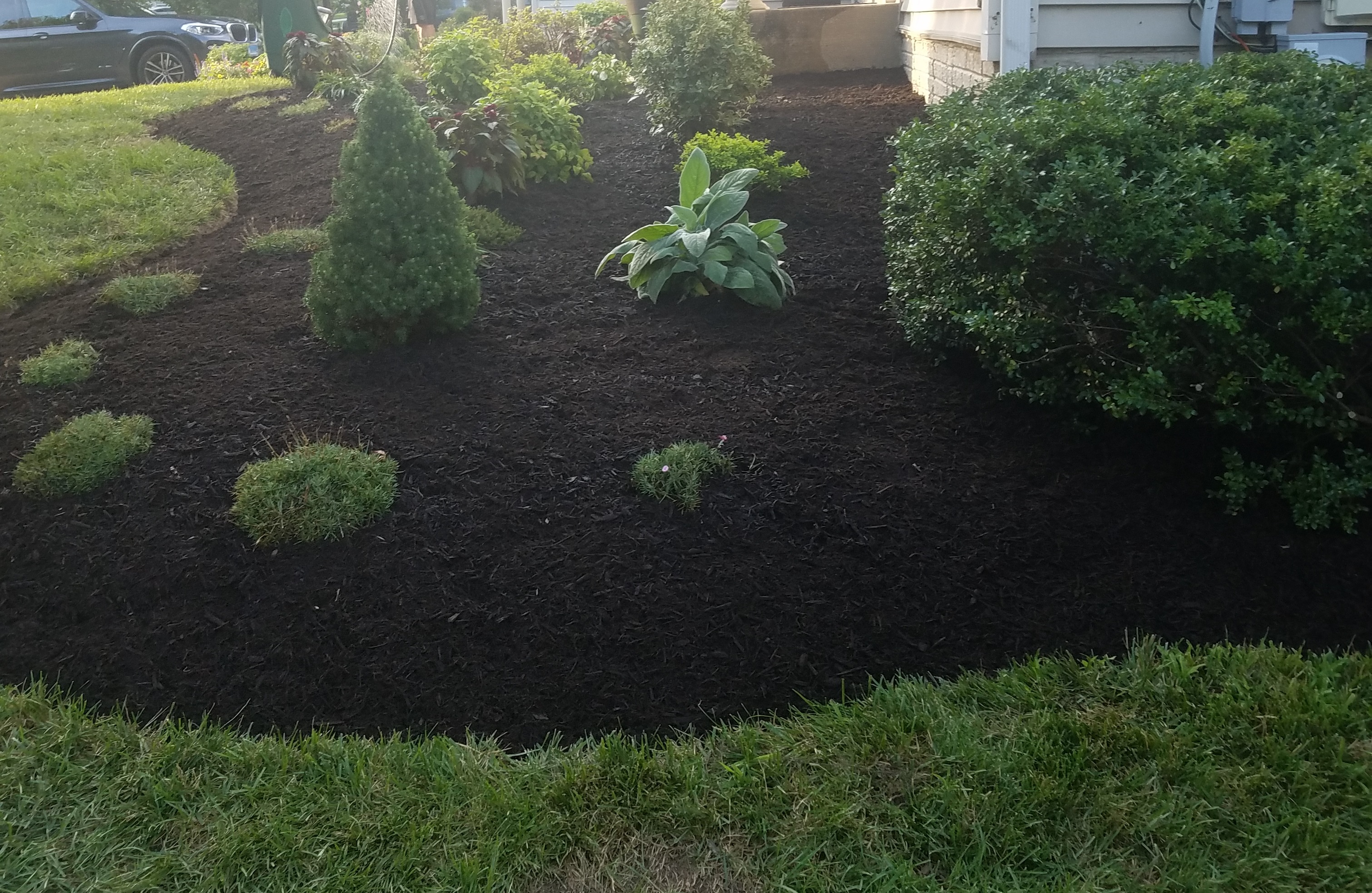 Crisp garden with beautiful mulching