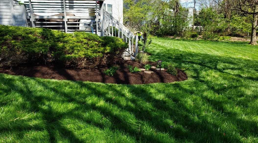 Cut lawn and cute garden on the side of a house