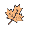 an autumn leaf