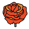 an artistic rose
